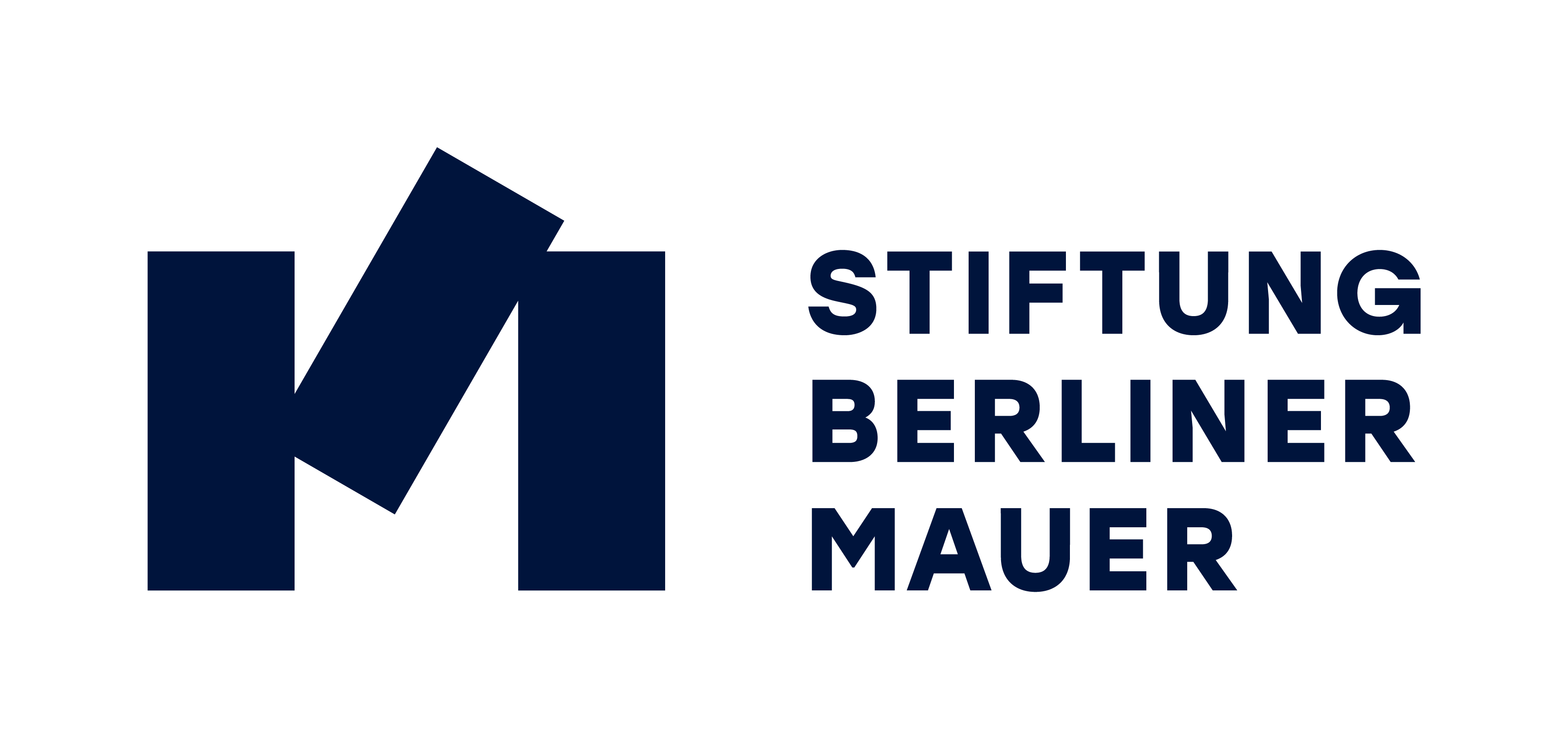 logo in footer