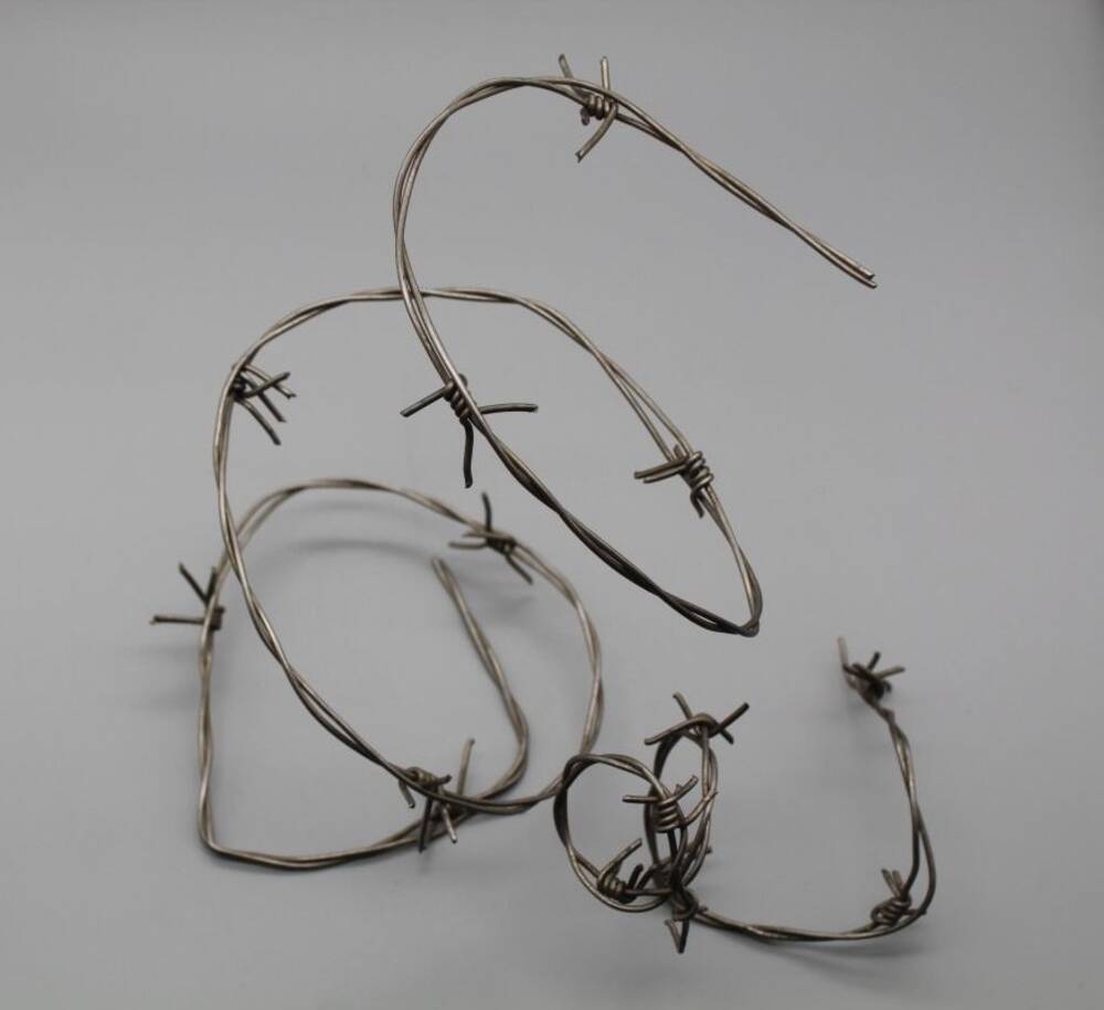 Discharge from Border Service